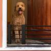 Expandable Puppy Gate for Home, No Drilling Required view 3