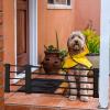 Expandable Puppy Gate for Home, No Drilling Required view 4