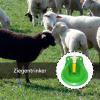 Automatic Livestock Water Bowls, 2-Pack view 3