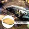 Gecko Feeding Ledge, Funny Water Bowl, Chameleon Feeding Bowl view 2