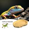 Gecko Feeding Ledge, Funny Water Bowl, Chameleon Feeding Bowl view 3