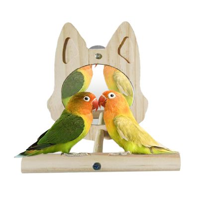 Bird Mirror with Perch