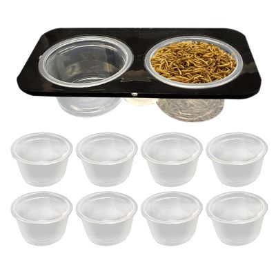 Reptile Feeding and Water Bowl