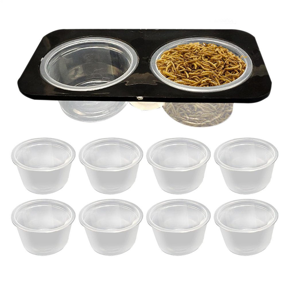 Reptile Feeding and Water Bowl