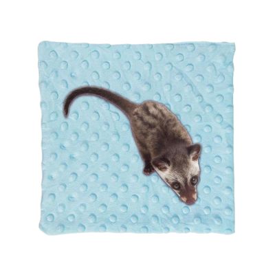 Small Animal Blanket for Hamsters