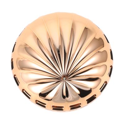 VICASKY Crystal Hair Remover for Women