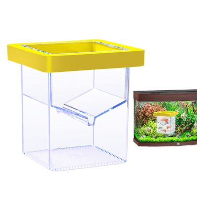 Fish Isolation Box Aquarium Acclimation Breeding Incubator
