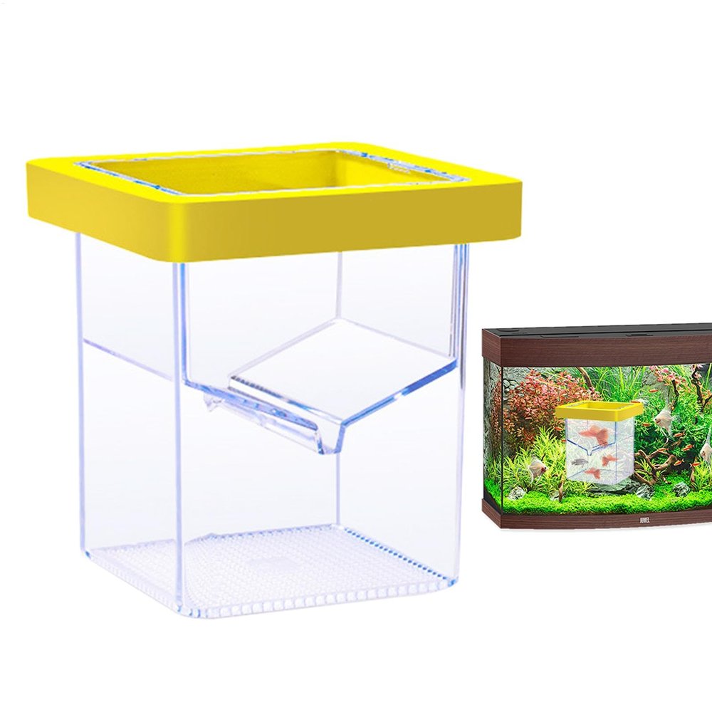 Fish Isolation Box Aquarium Acclimation Breeding Incubator