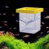 Fish Isolation Box Aquarium Acclimation Breeding Incubator view 2