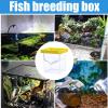 Fish Isolation Box Aquarium Acclimation Breeding Incubator view 4