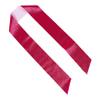 Abaodam 4-Piece Blank Glitter Sashes for DIY Party Decorations view 1
