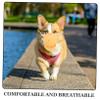UKCOCO Dog Muzzle for Large Dogs - Reusable Plastic, Lightweight & Breathable view 3