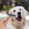 Hemobllo Dog Hair Brush and Iron for Large Breeds, Gentle on Skin, Detangling and Dematting for Long-Haired Dogs view 4
