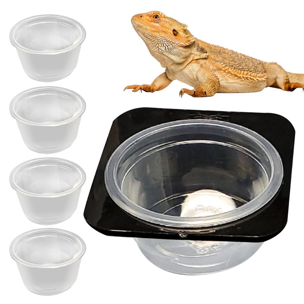 Lizard Water Bowl - Feeding Dispenser with Removable Tank