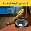 Lizard Water Bowl - Feeding Dispenser with Removable Tank view 2