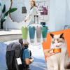 90 mL Travel Shampoo Squeeze Bottles for Pets view 4