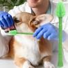 360° Toothbrush for Small Dogs with Long Handle view 3