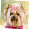 HAPINARY Elastic Hair Ties for Small Dogs view 2