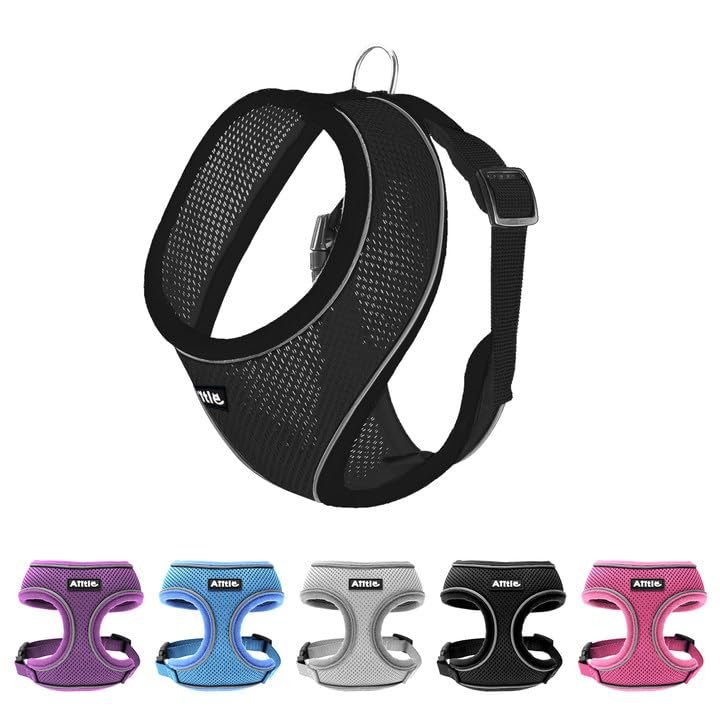 AIITLE Harness for Small Dogs, Breathable Mesh, Adjustable Fit, Reflective Design, No-Choke Vest (S, Black)