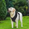 AIITLE Harness for Small Dogs, Breathable Mesh, Adjustable Fit, Reflective Design, No-Choke Vest (S, Black) view 2