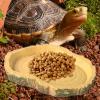 Turtle Feeding Bowl view 3
