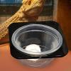 Removable Space-Saving Reptile Water and Food Bowl view 2