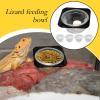 Removable Space-Saving Reptile Water and Food Bowl view 4