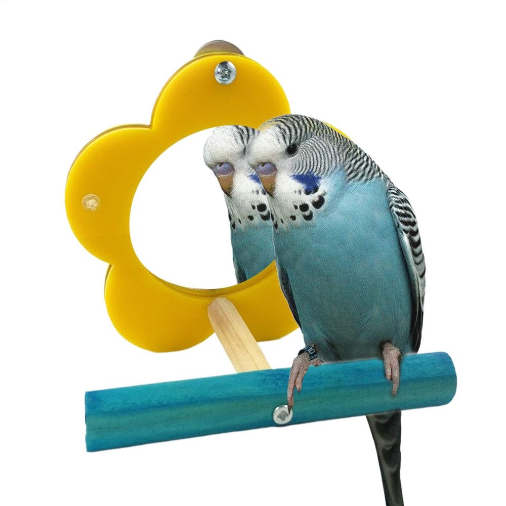 Eoixuqba Bird Mirror for Parakeets