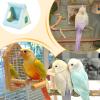 Bird Cage Bed – Hanging Hammock Nest view 4