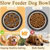 LXBCTOP Slow Feeder Dog Bowl, Silicone Spiral view 4