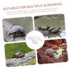 BESPORTBLE Turtle Basking Platform view 3