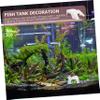 BESPORTBLE Turtle Basking Platform view 4
