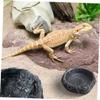 LABRIMP Reptile Feeding Set with Water and Food Bowls, Curved Feeding Tongs and Two Bowls view 4
