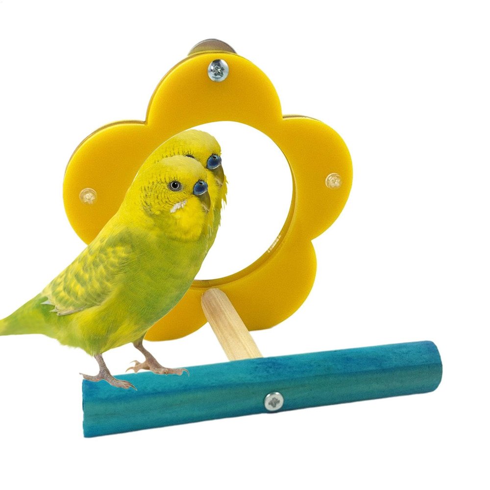 Bird Mirror for Cage