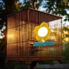 Bird Mirror for Cage view 3