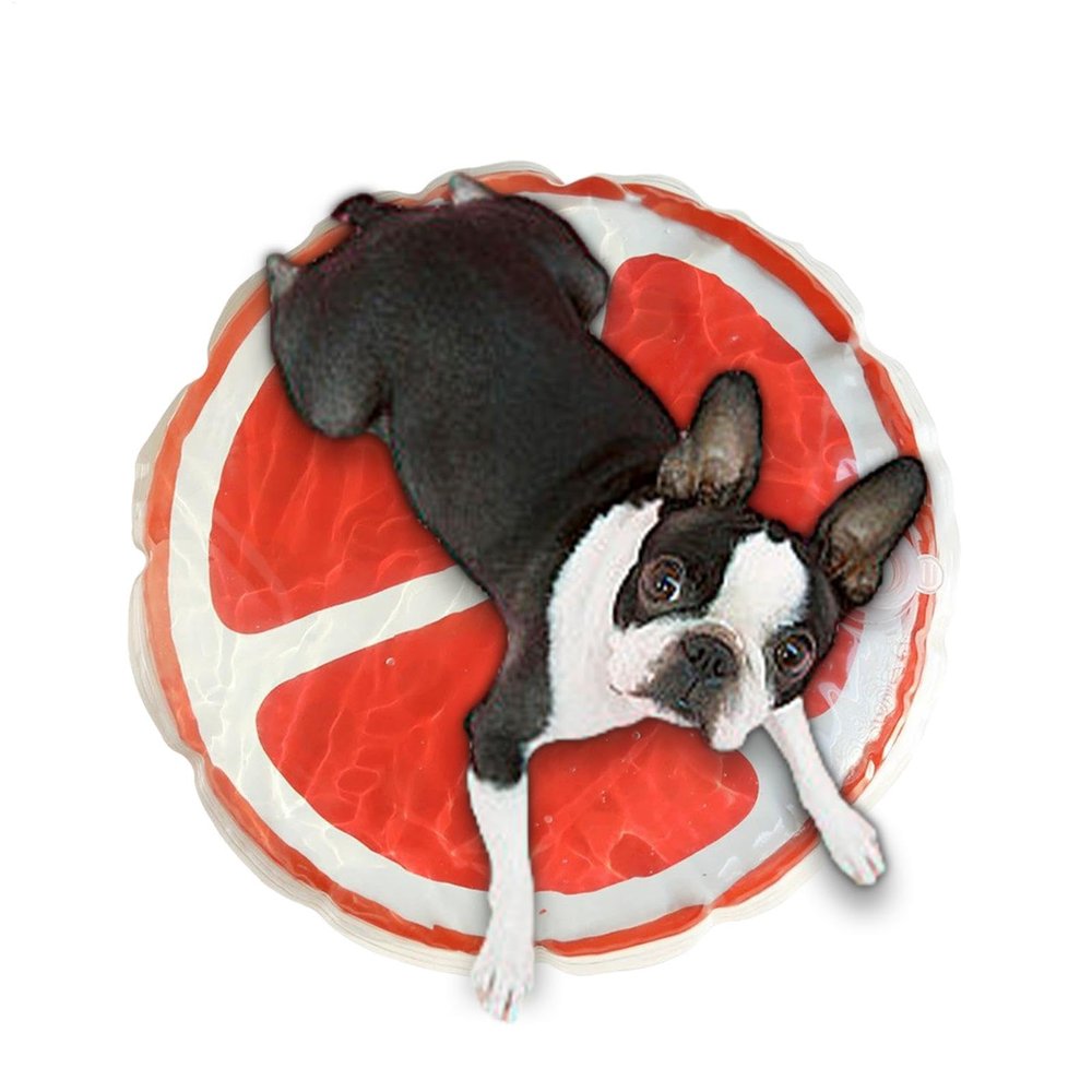 Cooling Mat for Cats | Comfortable Water-Sensor Pad with Creative Fruit Design
