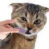 Hogvinnatil Finger Toothbrush for Pets view 3