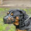 L&J Pets UK Premium Leather Muzzle for Rottweilers & Mastiffs, Adjustable, Black (R4) view 4
