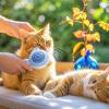 Pet Grooming Brush for Cats view 3