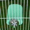 Bird Cage Perch, Claw-Grinding and Chew Toy view 3