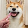 Finger Toothbrush for Dogs, Gentle Hangable Dog Toothbrush view 2