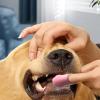 Finger Toothbrush for Dogs, Gentle Hangable Dog Toothbrush view 3