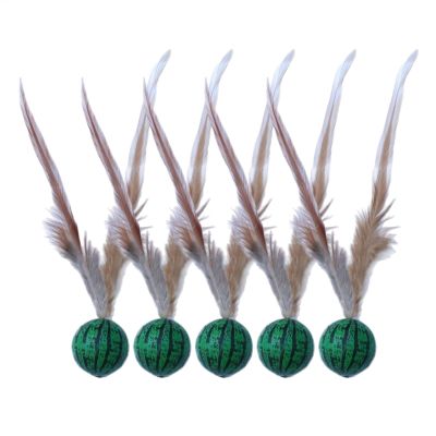 Bouncing Feather Cat Toys, 5-Pack