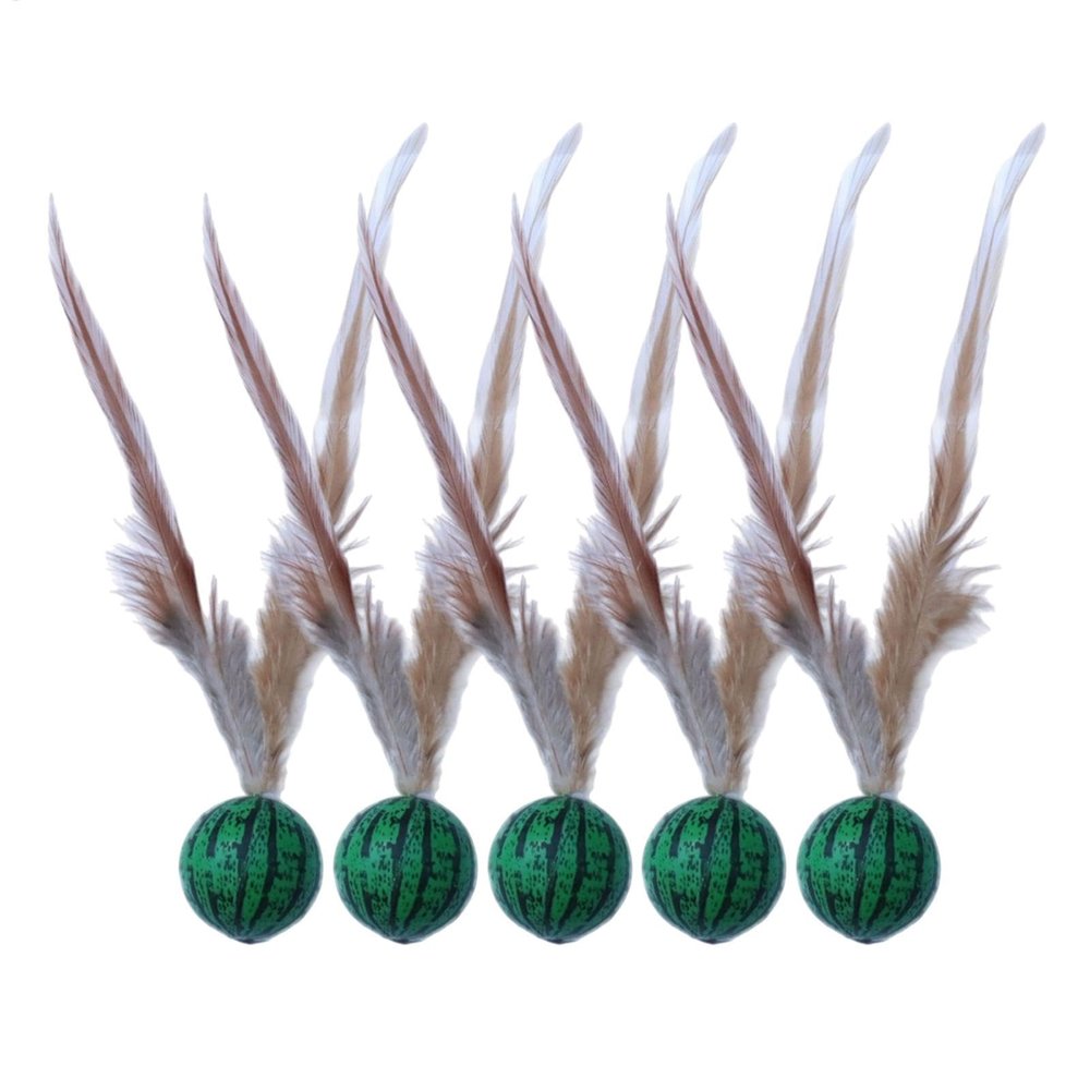 Bouncing Feather Cat Toys, 5-Pack