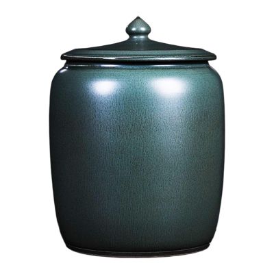 WJFTODAY Ceramic Rice Storage Container with Lid, Green, 12.5 kg