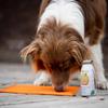 SmoothieDog Sensitivo 6-Pack (Horse) + LickiMat Buddy L Orange view 4