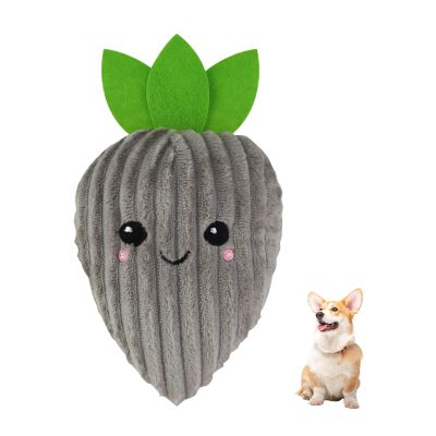 Andiker Carrot Dog Toy, 9.84'' Squeaky Toy for Small and Medium Dogs