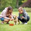 Andiker Carrot Dog Toy, 9.84'' Squeaky Toy for Small and Medium Dogs view 4