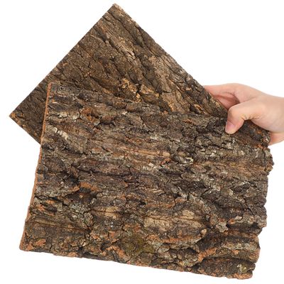 BESPORTBLE 2-Piece Cork Bark Background for Vivariums and Terrariums