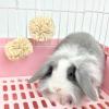 Corn Husk Treat Chew Toy for Small Pets view 2